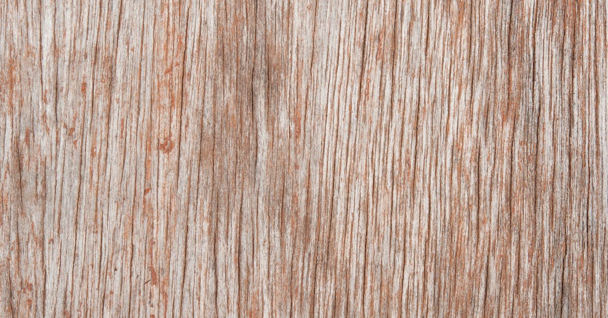Choosing the Right Products for Timber Scratch Repair