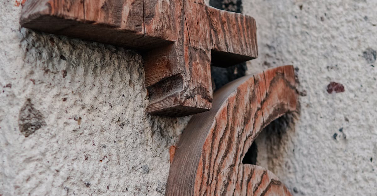 Essential Tools for Monitoring Timber Floor Moisture