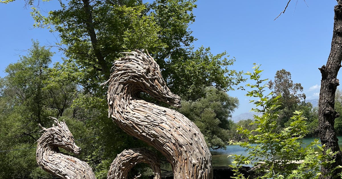 How to Choose the Right Mats to Preserve Timber Floors