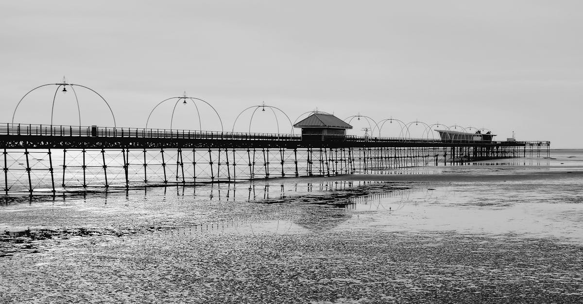 Installation Process of Engineered Timber Flooring: What to Expect