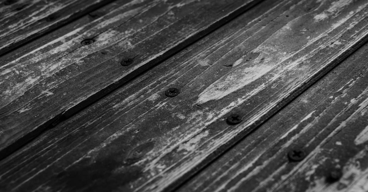 The Importance of Regularly Changing Cleaning Tools for Timber Floors