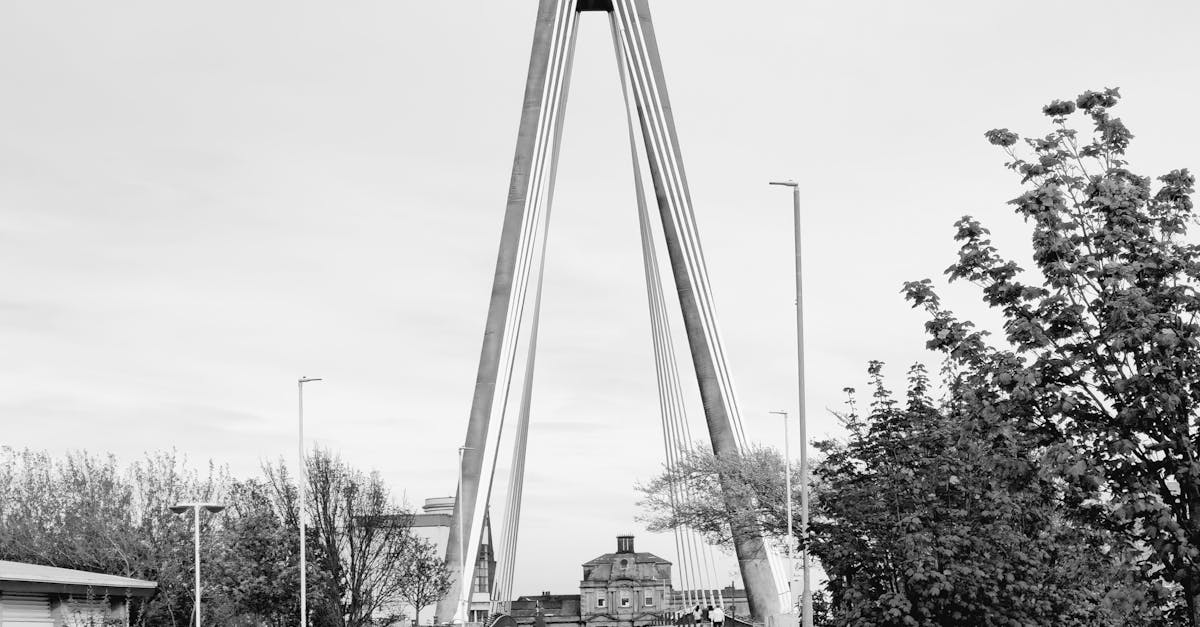 The Role of Professionals in Timber Floor Removal