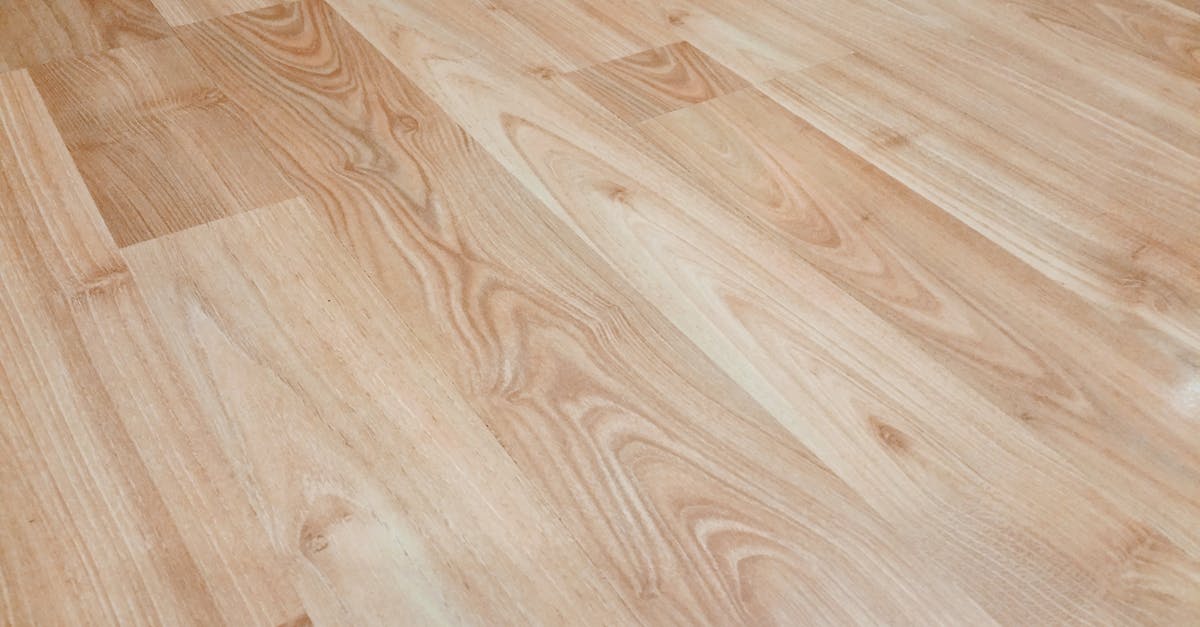 Tips for Maintaining Timber Floors Through Seasonal Changes