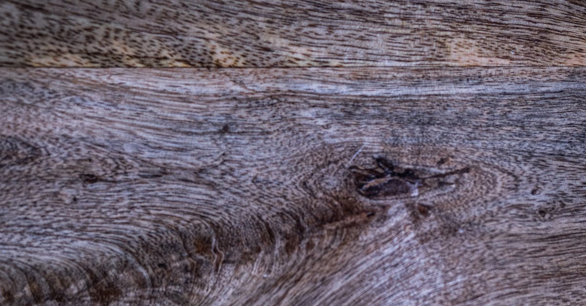 Tips for Selecting the Perfect Finish for Timber Floors in Offices