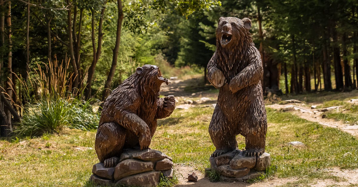 Understanding the Causes of Dents in Timber Floors